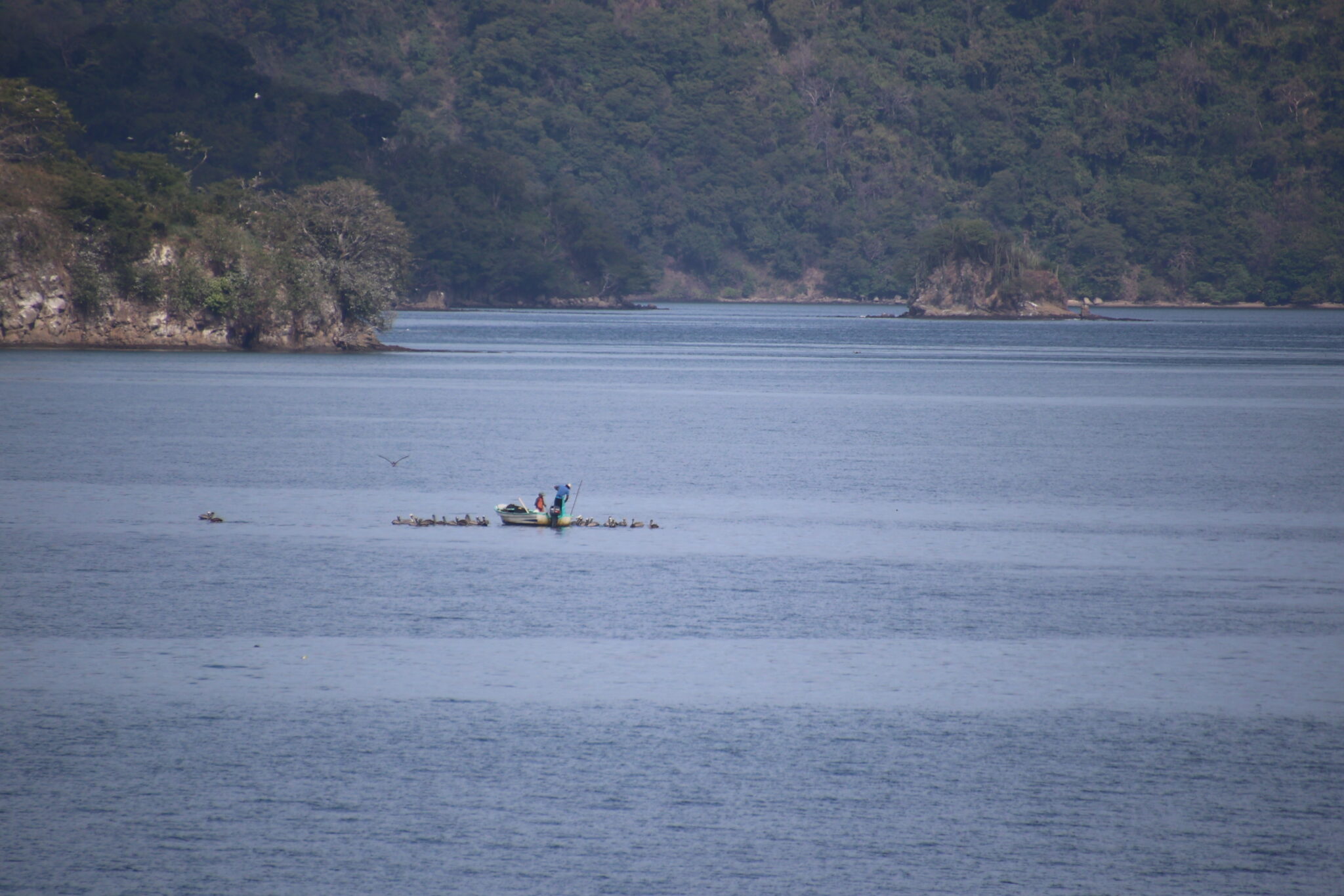 Fishermen and Pelicans in Tranquil Tropical Waters | Natural Costa Rica