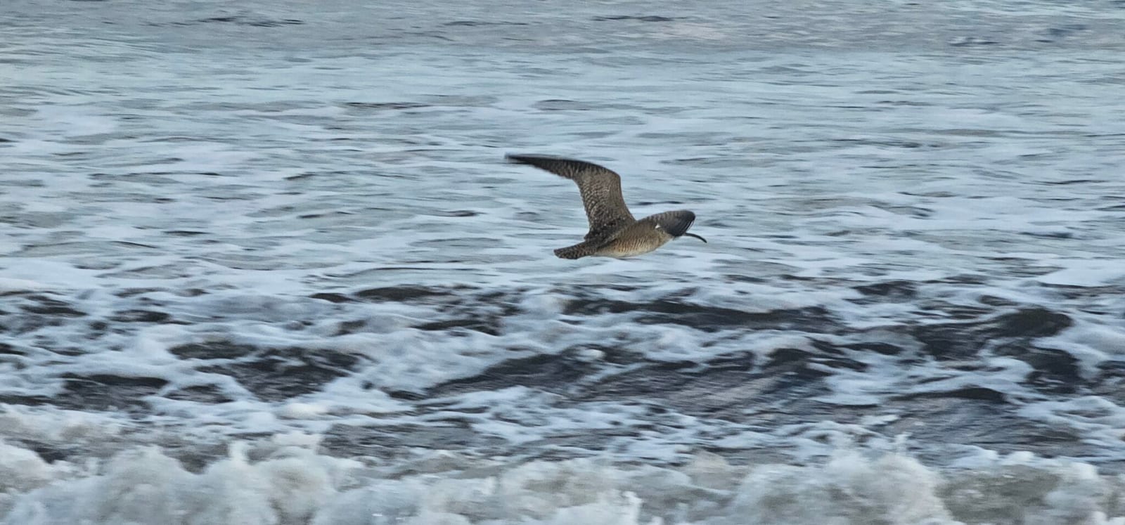 Osa Peninsula visitor tips photo